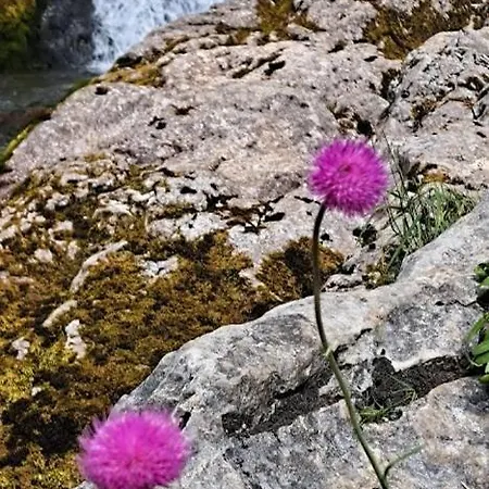 Dom wakacyjny Apartma Boma Bovec